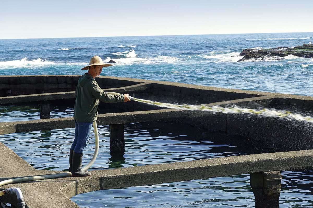 創生夥伴partner P10