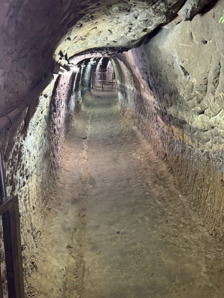 LINE ALBUM 20251114新店走讀照片 251118 12 768x1024