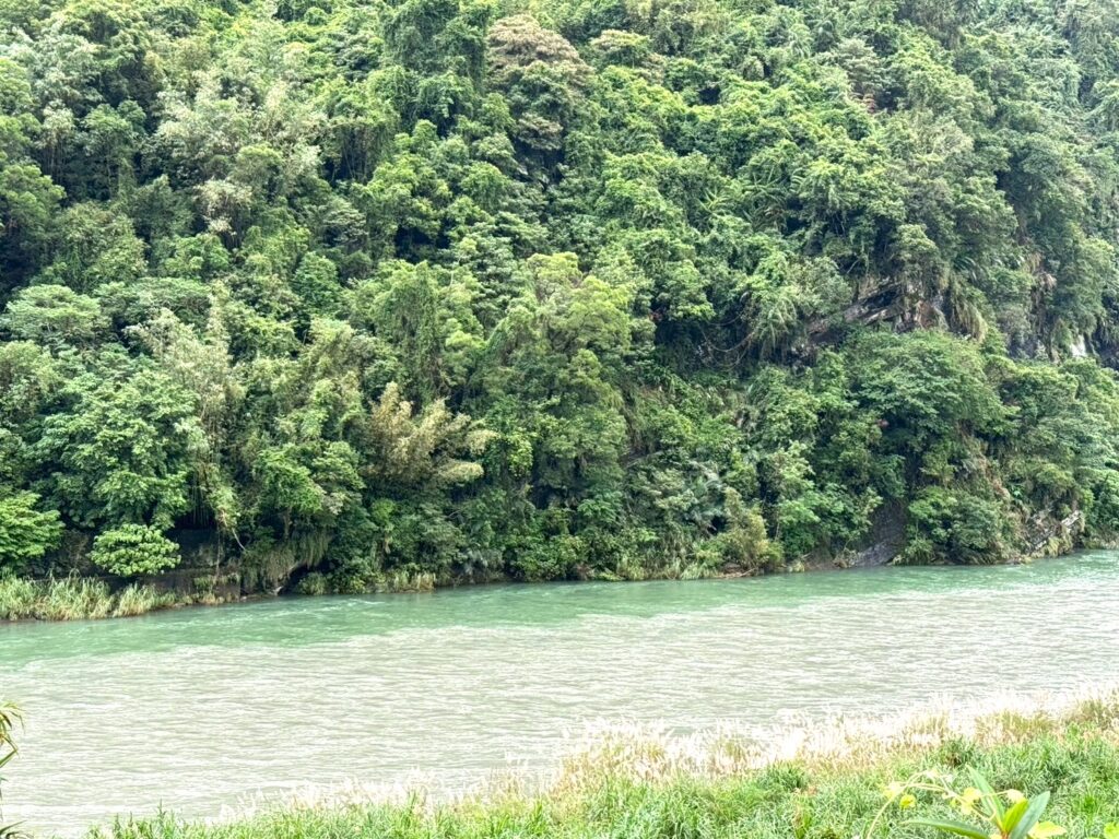 LINE ALBUM 20251114新店走讀照片 251118 78 1024x768