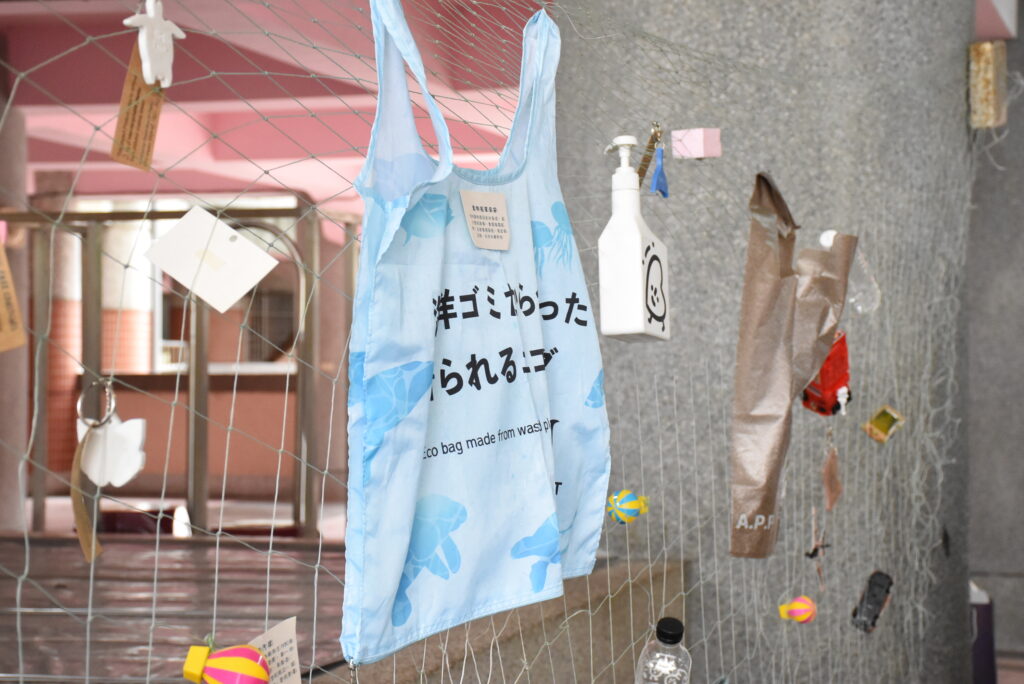 DSC 0352 1024x684